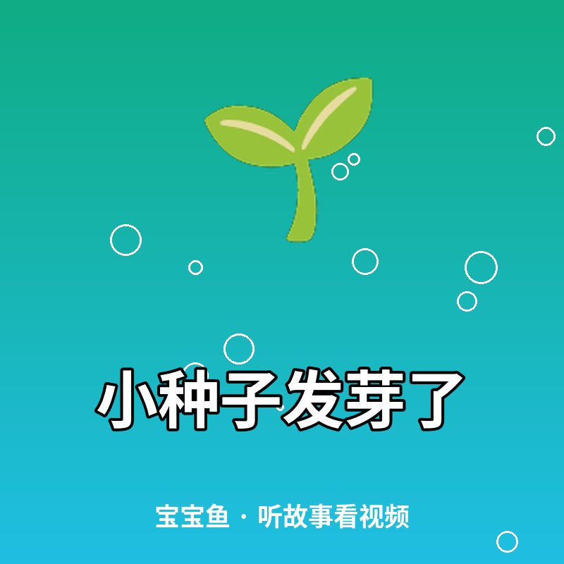 小种子发芽了