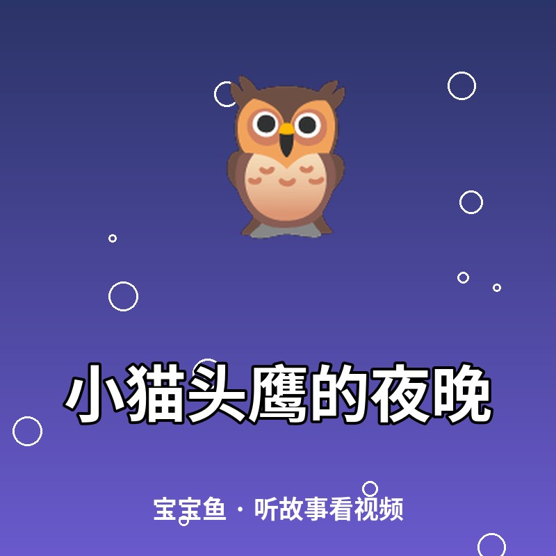 小猫头鹰的夜晚